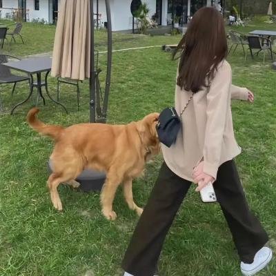 银杏茶寮番外